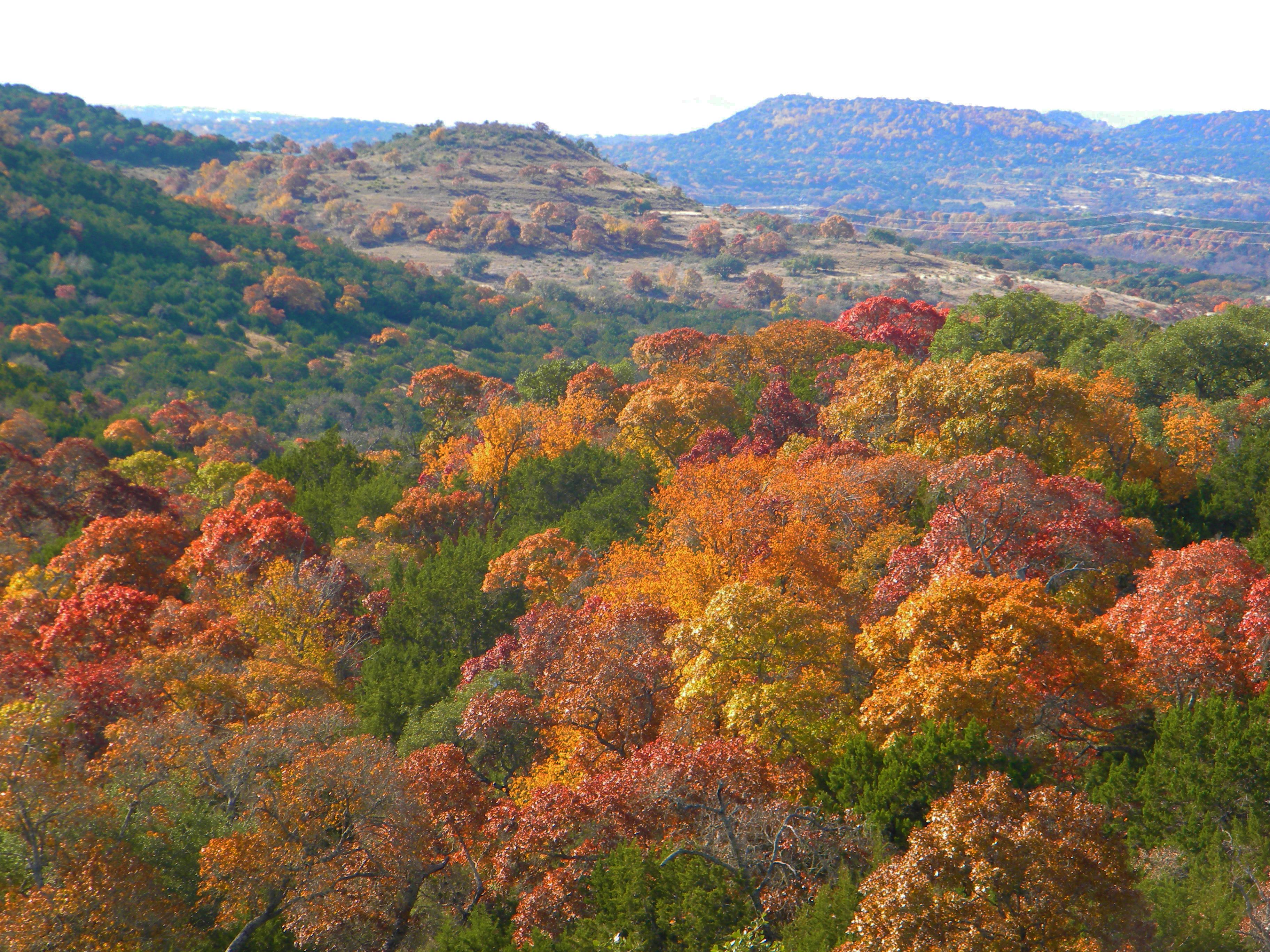 891+/- Acres Sueltenfuss Ranch, Kerr County, Comfort, TX 78013