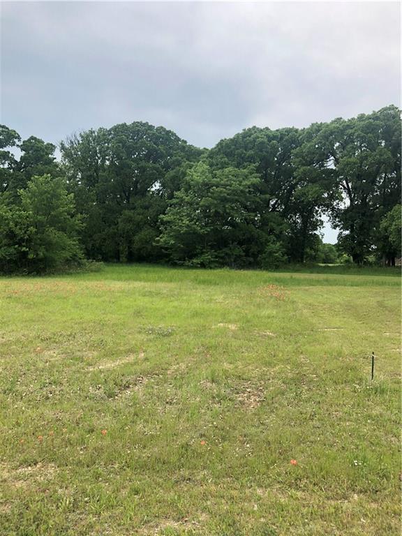 Hidden Oaks Dr, Wills Point, TX 75169