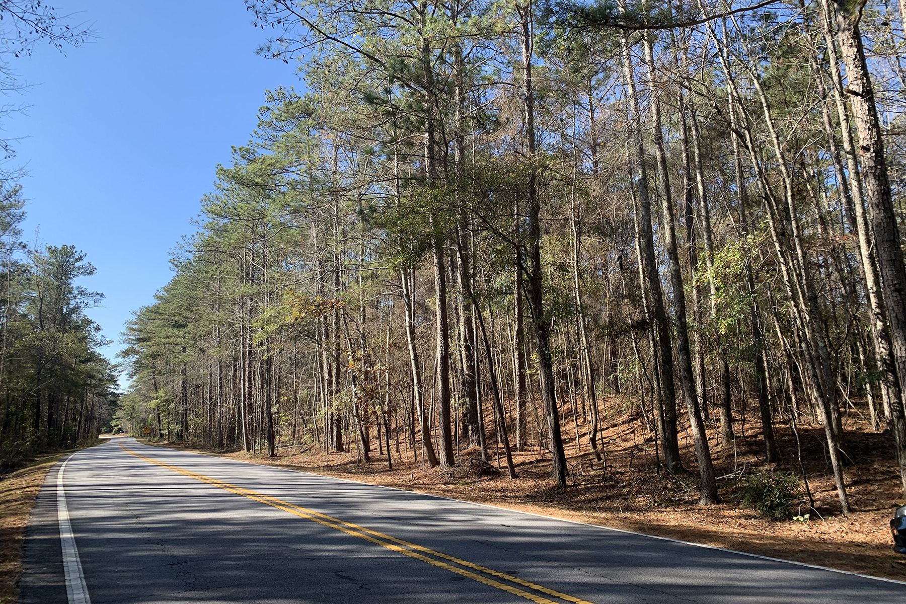 Pristine Acres Within Chattahoochee Hills City Limits