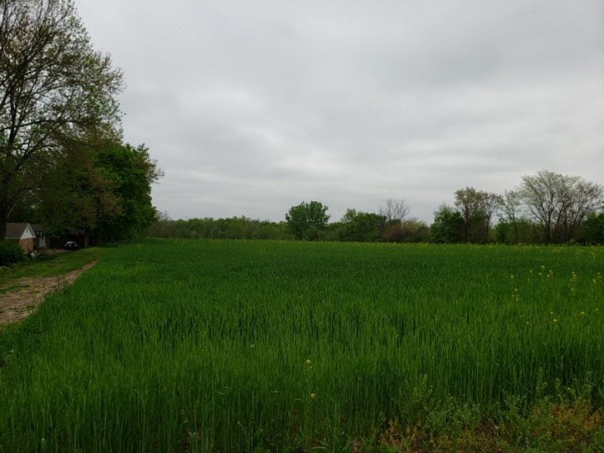 property photo