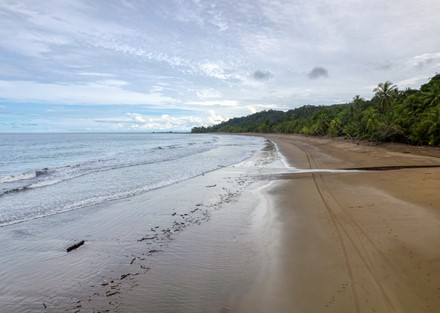 Ready to Divide Eco Beachfront Retreat Property in Drake Bay Ready to Build