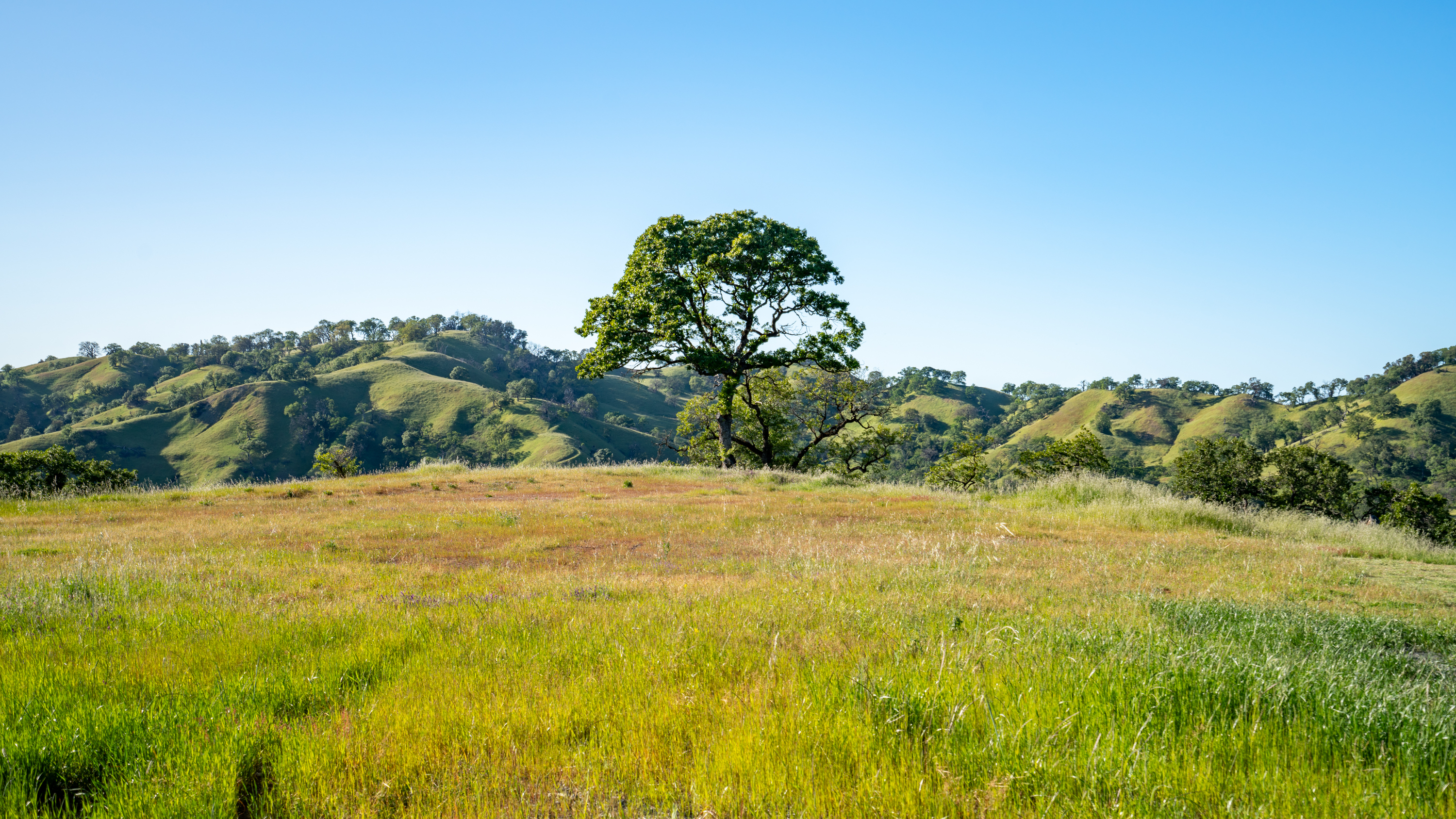 Captivating Land Parcel