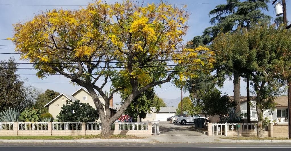 Chino Ave, Chino, CA 91710