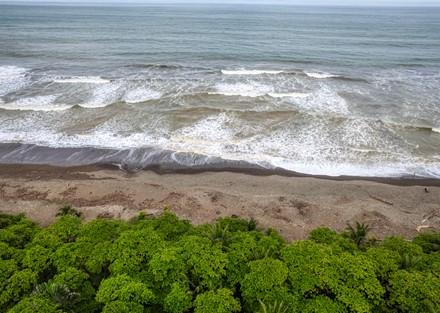 Successful Beachfront Business in Playa Dominical