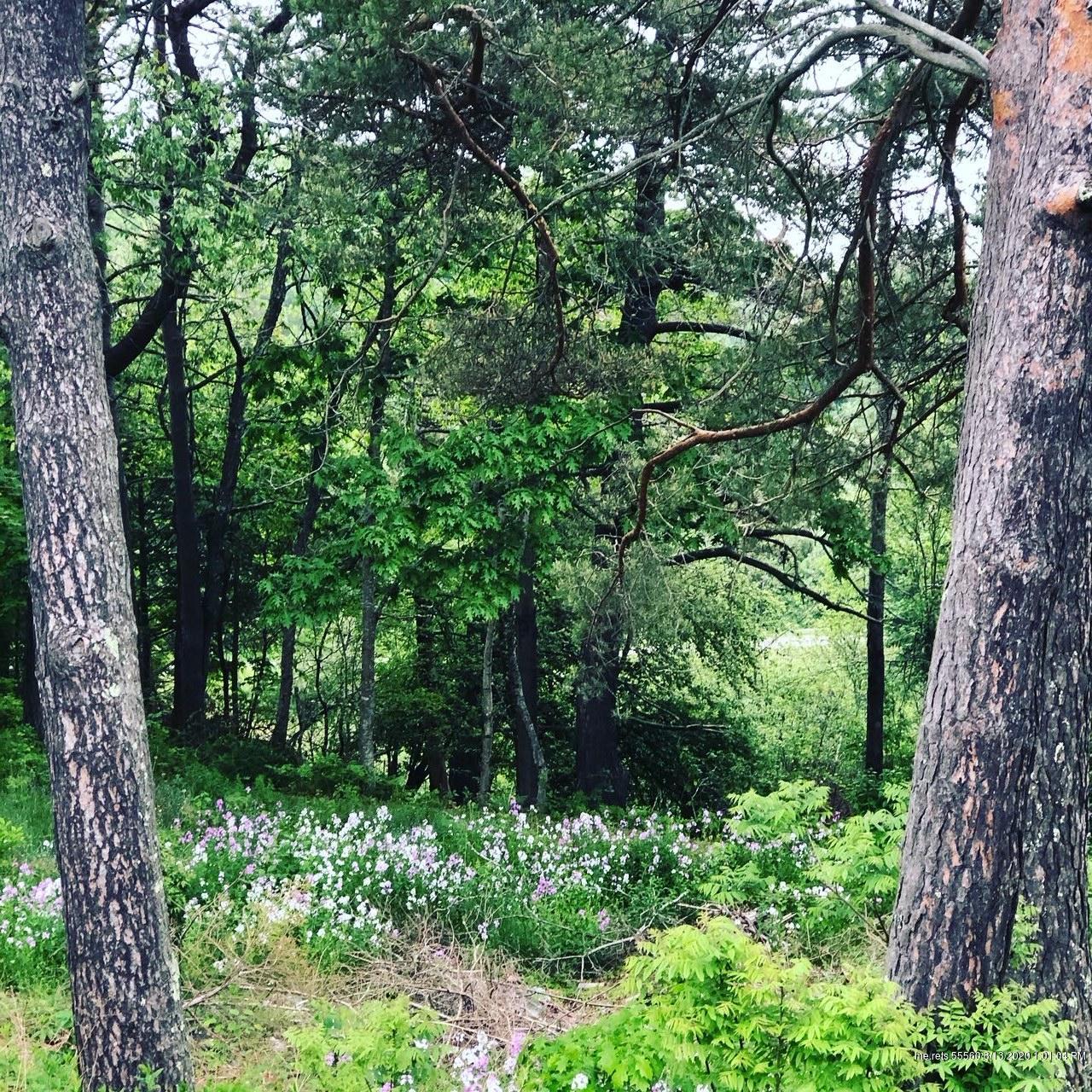 Sandy Point Rd, Stockton Springs, ME 04981
