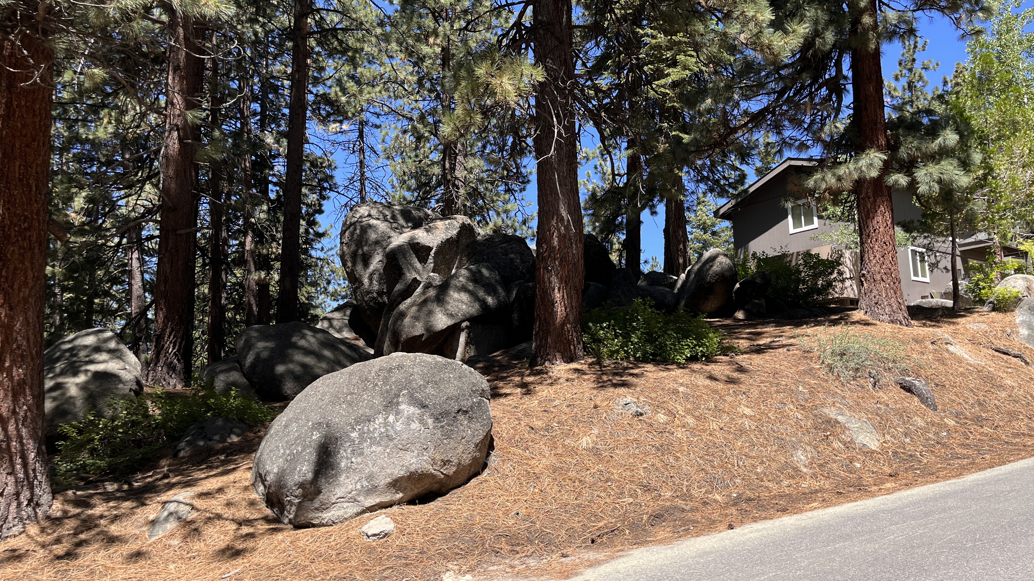 Wooded and Boulder Studded Lot in the Desirable Middle Kingsbury Area