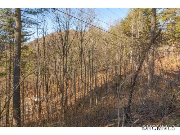 Brookwood Rd, Asheville, NC 28804