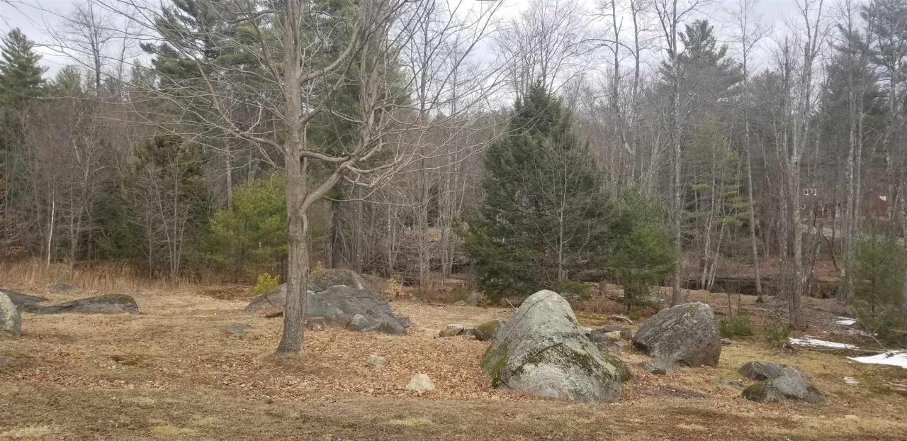Deering Center Rd, Deering, NH 03244 #1