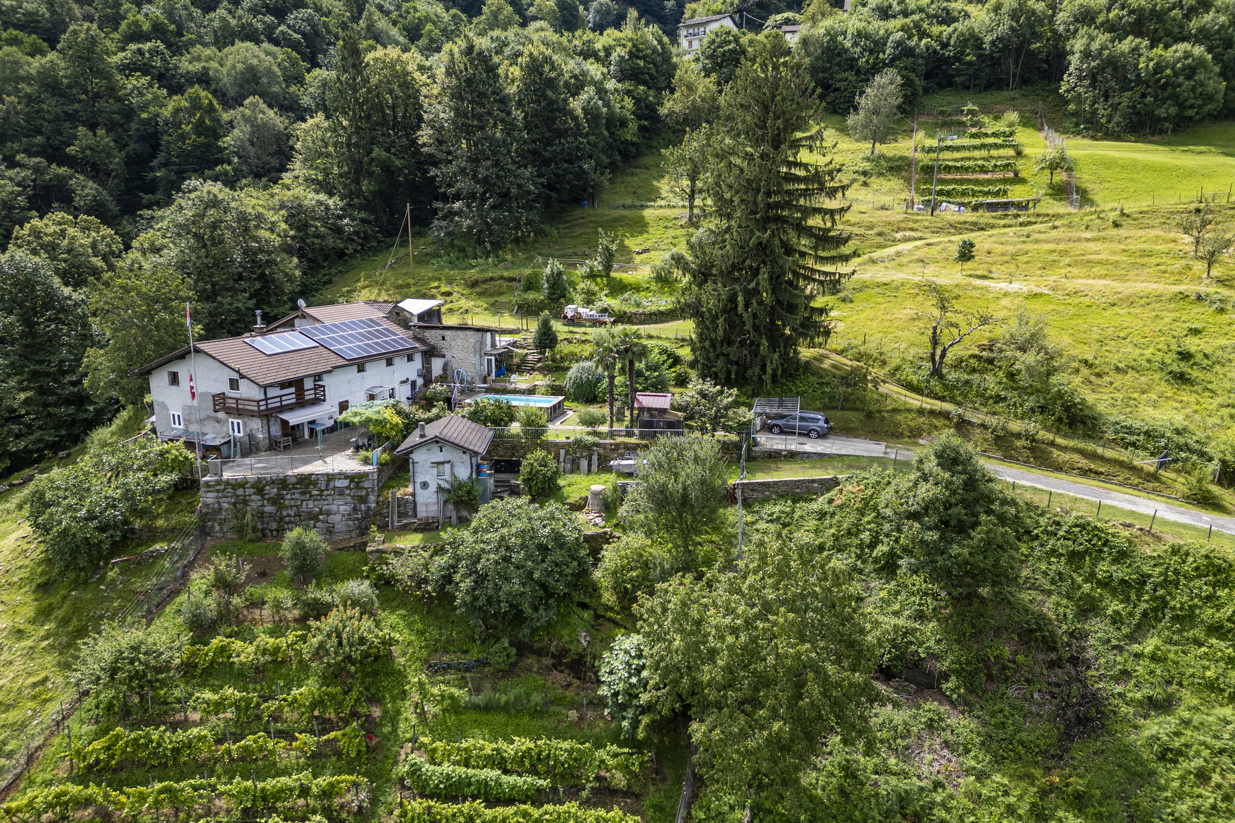 Ticino house with 20'000 sqm of land, swimming pool, and rustic house