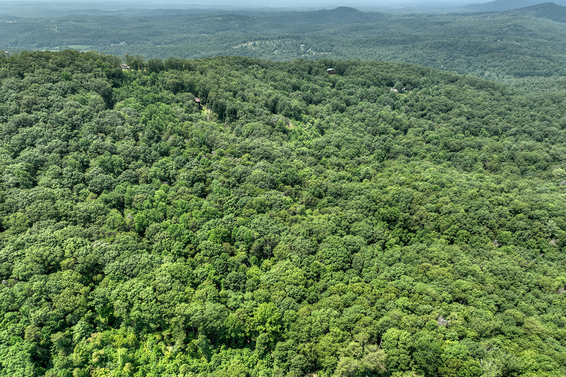 Over Seven Acres in the North Georgia Mountains