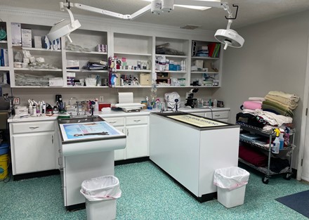 Procedure Room