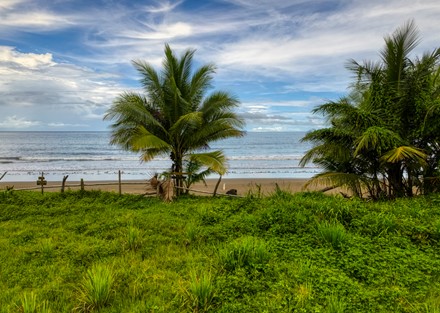 Ready to Divide Eco Beachfront Retreat Property in Drake Bay Ready to Build