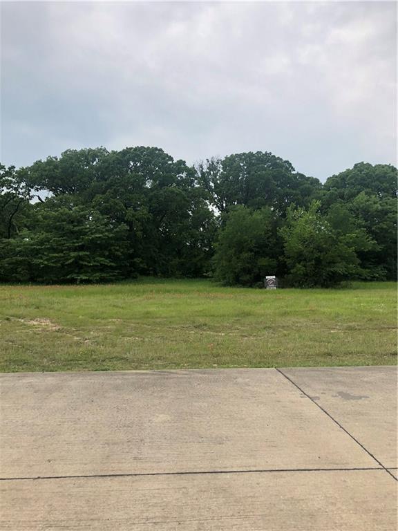 Hidden Oaks Dr, Wills Point, TX 75169 #1