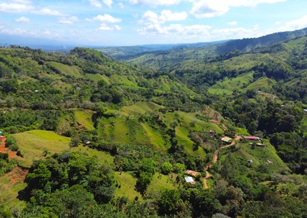 Farm to Develop in Pacuarito