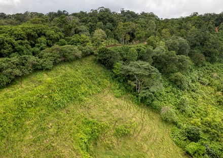 Ready to Divide Eco Beachfront Retreat Property in Drake Bay Ready to Build