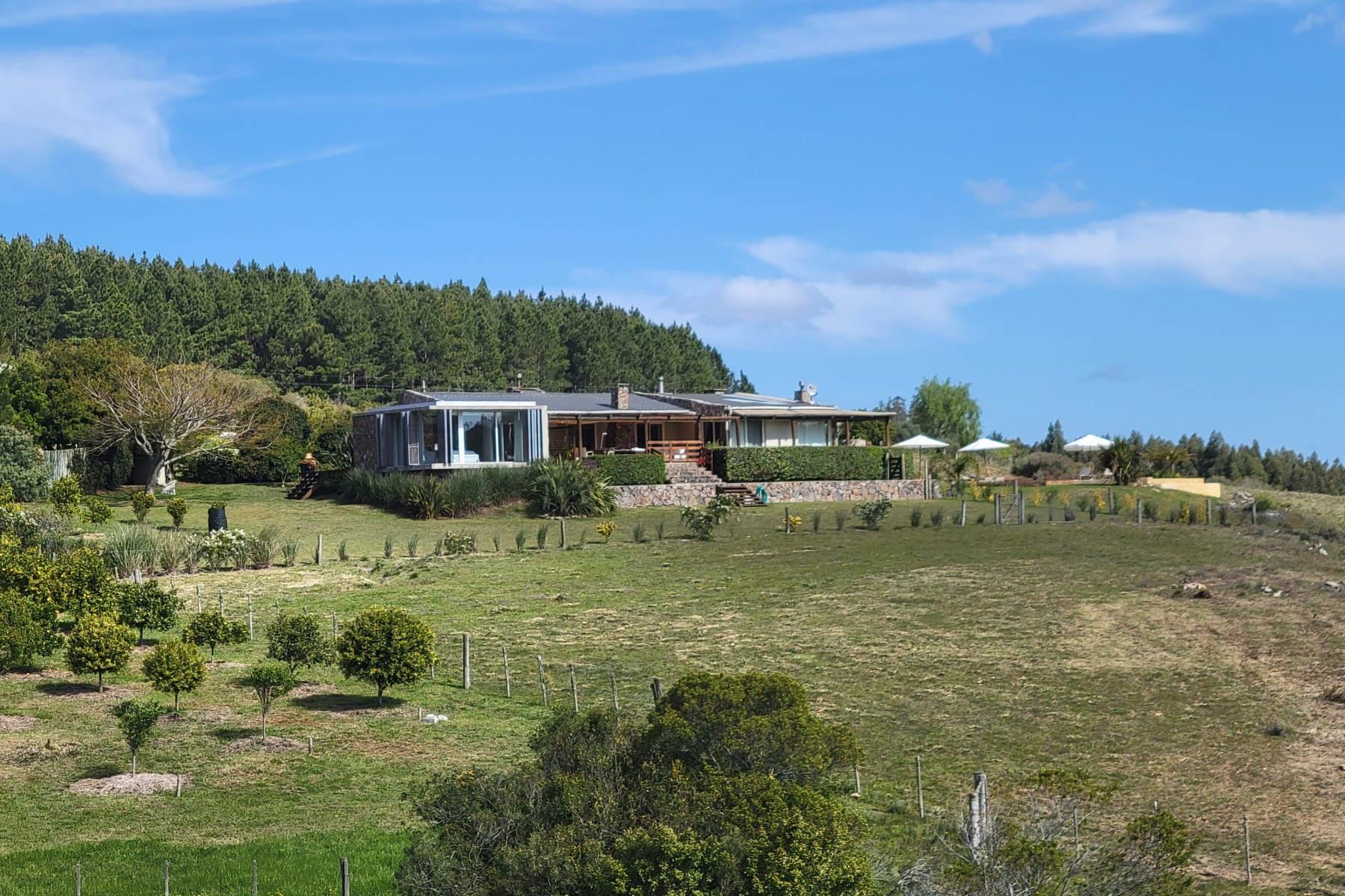 Fully-equipped 16-hectare farm in the Maldonado Hills.