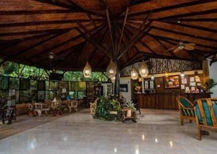 Amazing jungle volcano hotel