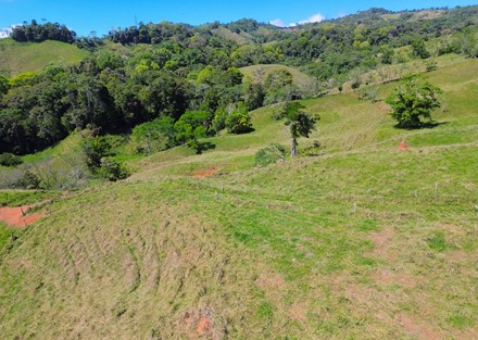 Farm to Develop in Pacuarito