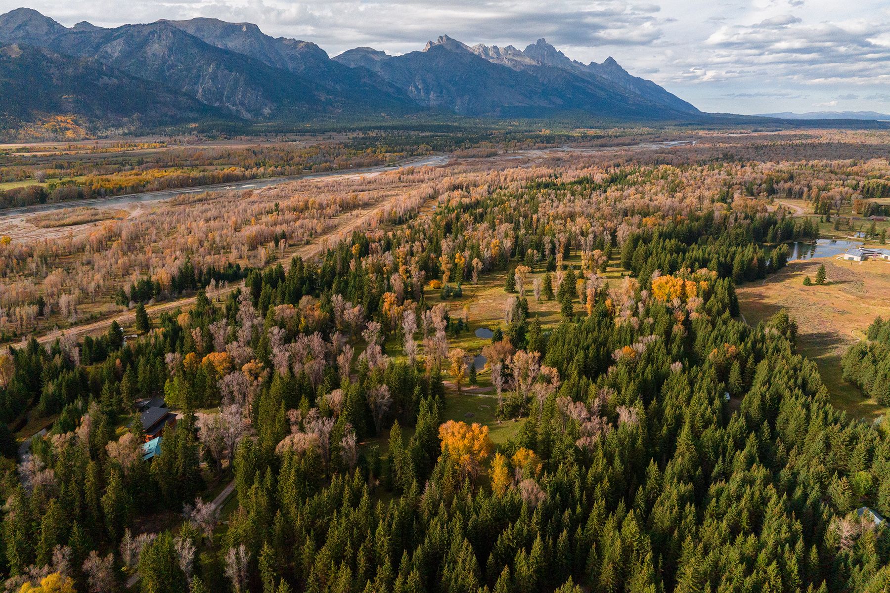 North Snake River Woods Road