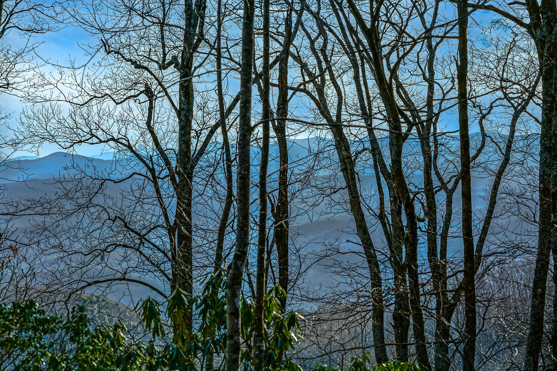 THE ORCHARD OF MAYVIEW - BLOWING ROCK