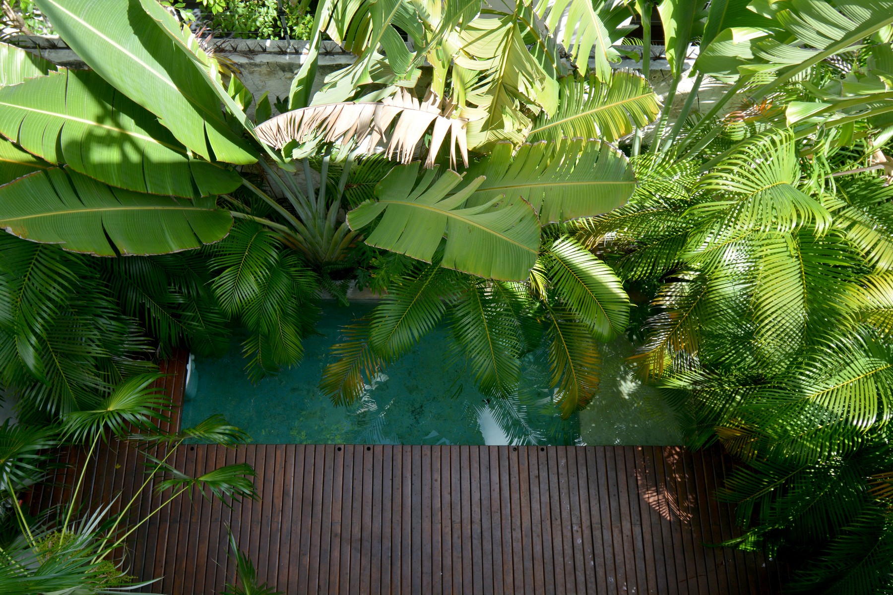 CASA CHICOZAPOTE, RIVIERA TULUM