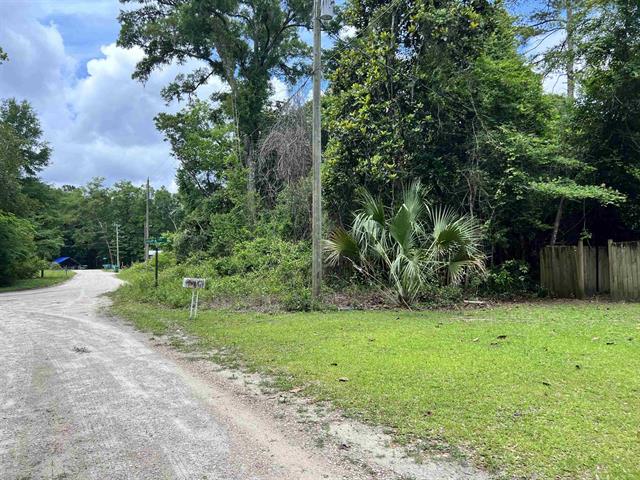 Arikara Dr, Crawfordville, FL 32327 #1