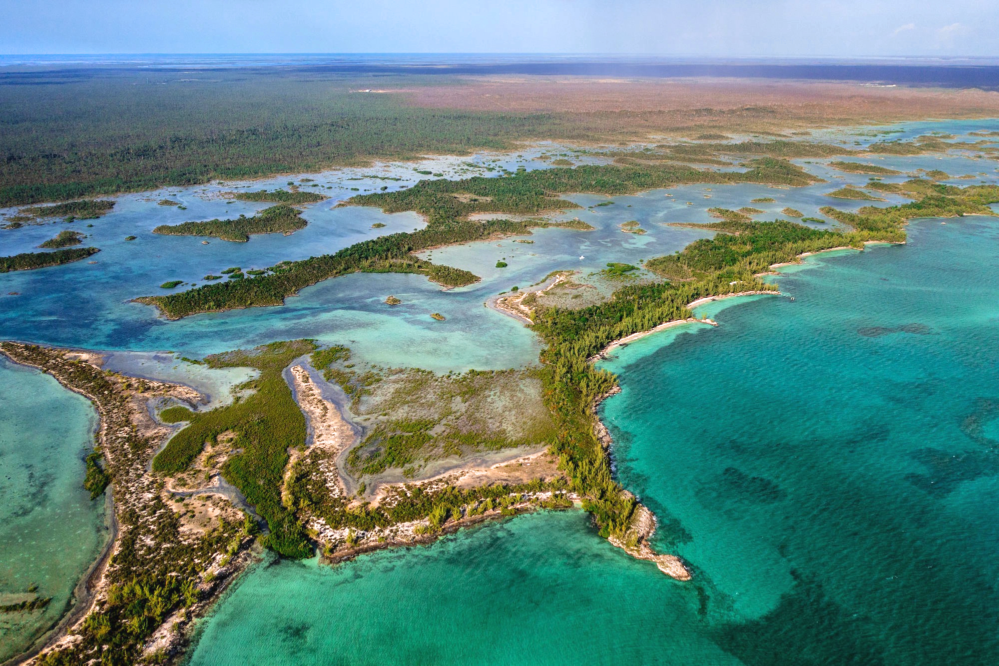 Armstrong and Pond Apple Cays