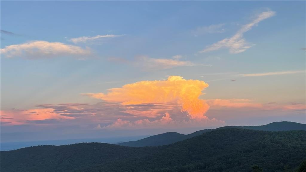 Century 21 Jasper, GA