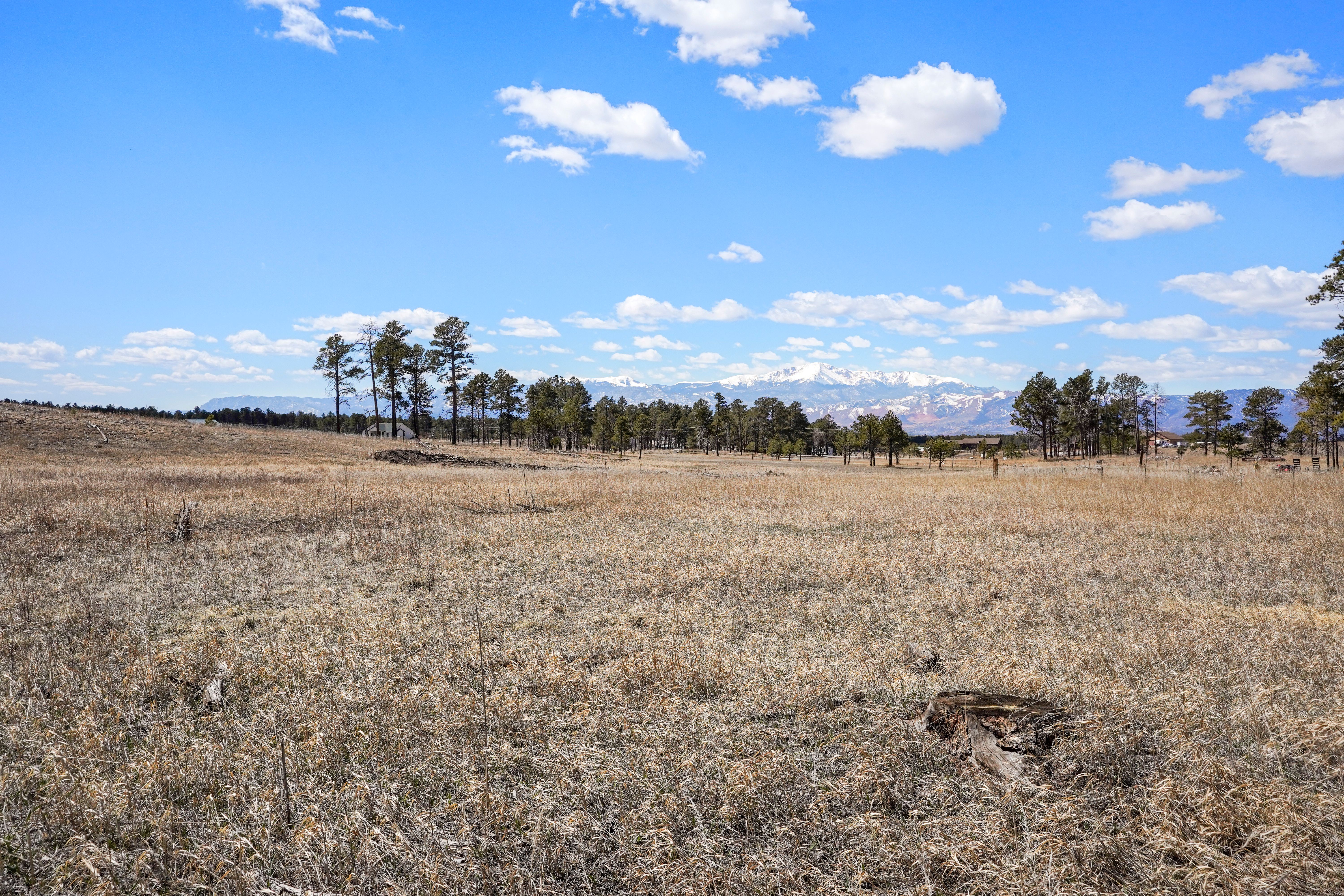 5 acres with jaw dropping views of Pikes Peak located in Black Forest