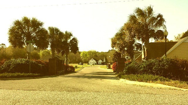 Wild Turkey Ct, Bainbridge, GA 39819 #1
