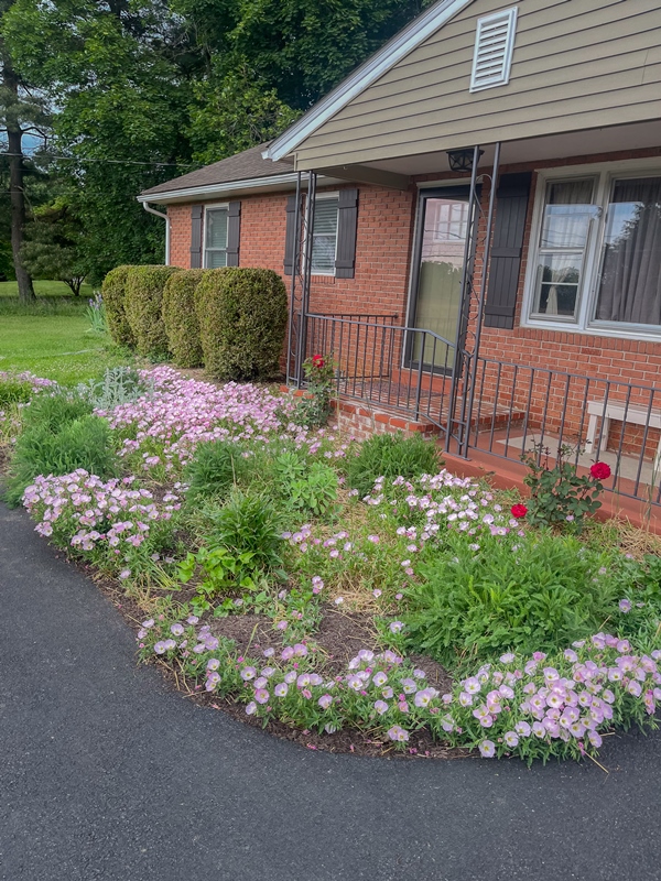 Engle Molers Rd, Harpers Ferry, WV 25425 #1