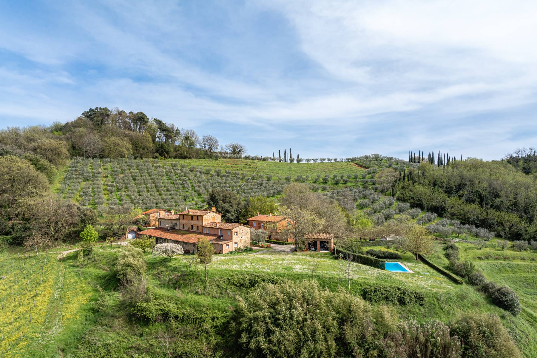 Wine estate on the hills of Lucca