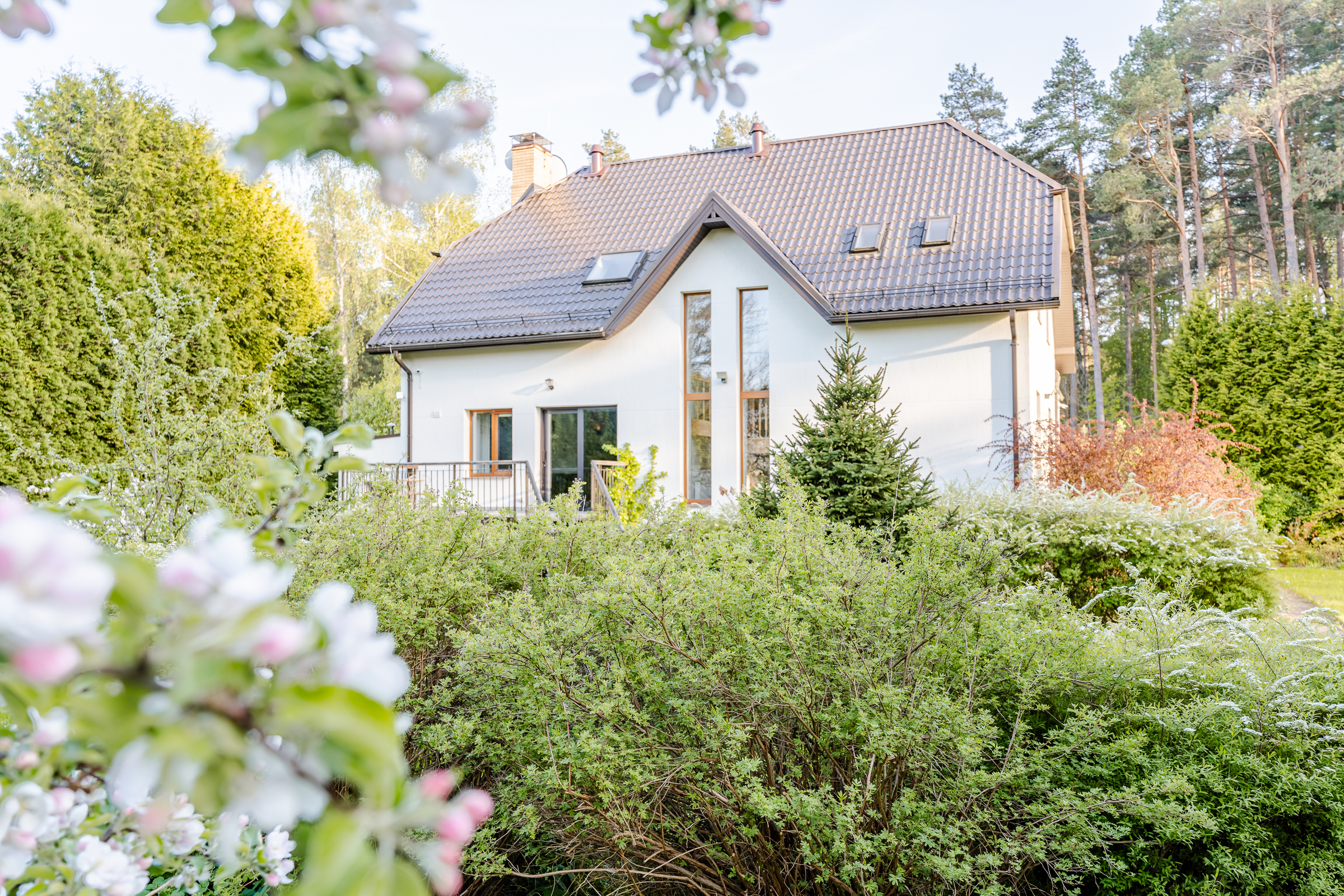 Cozy family house next to the pine park in Melluzi