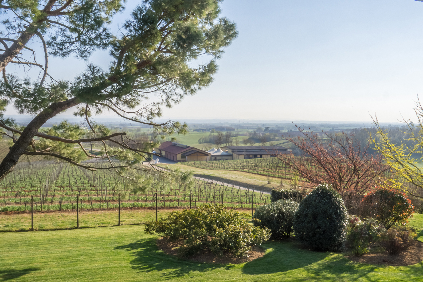 Magnificent wine producing estate in the heart of Monferrato region