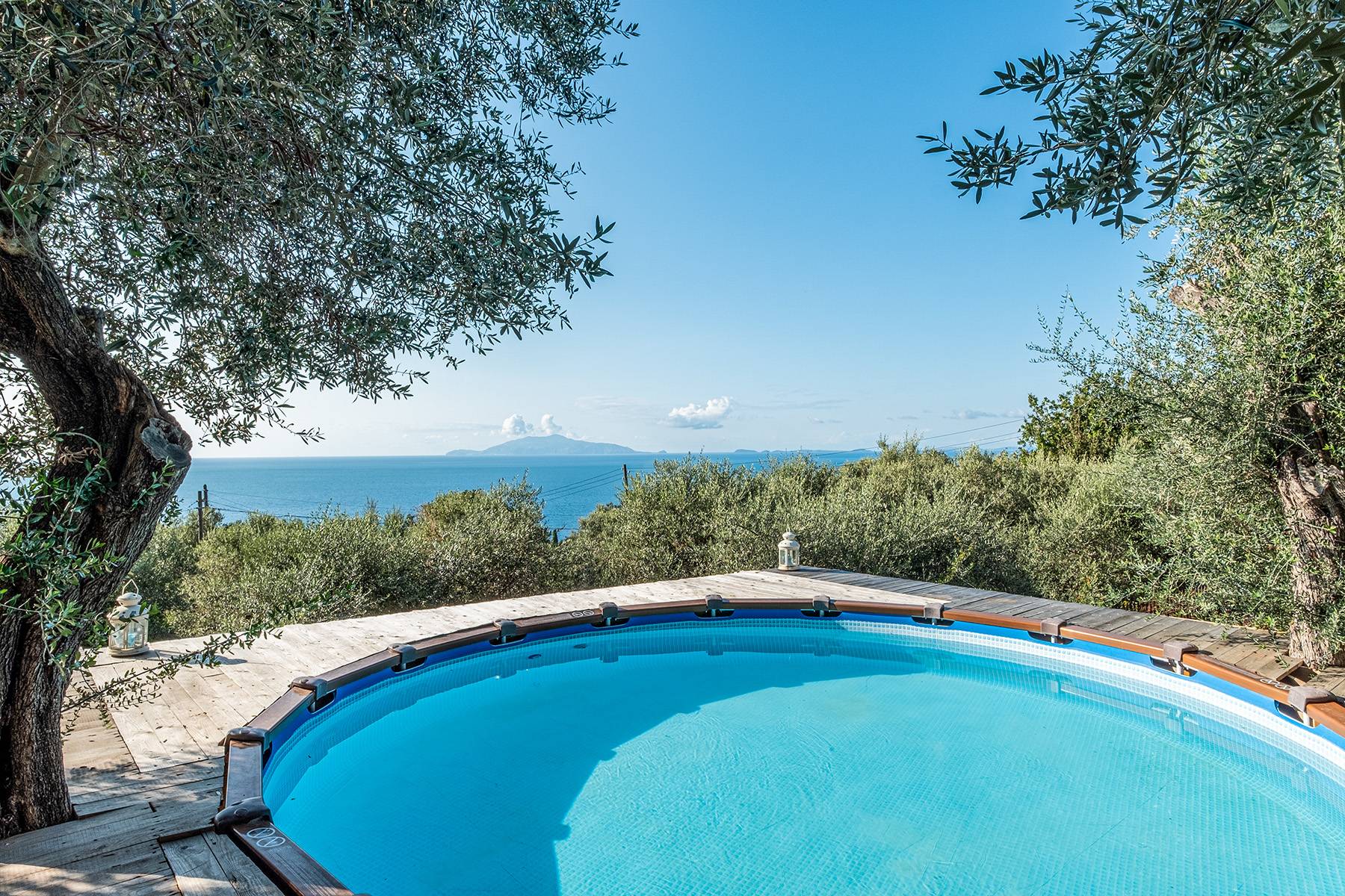 Charming villa with olive grove and swimming pool overlooking the sea