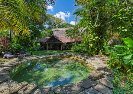 Beachfront Eco Lodge and Retreat in Cabo Matapalo, Osa Peninsula