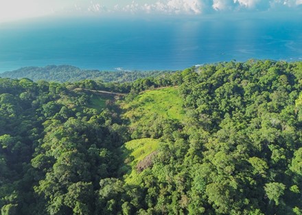 55 acre Escaleras Mountain Ocean view Development or Private Farm