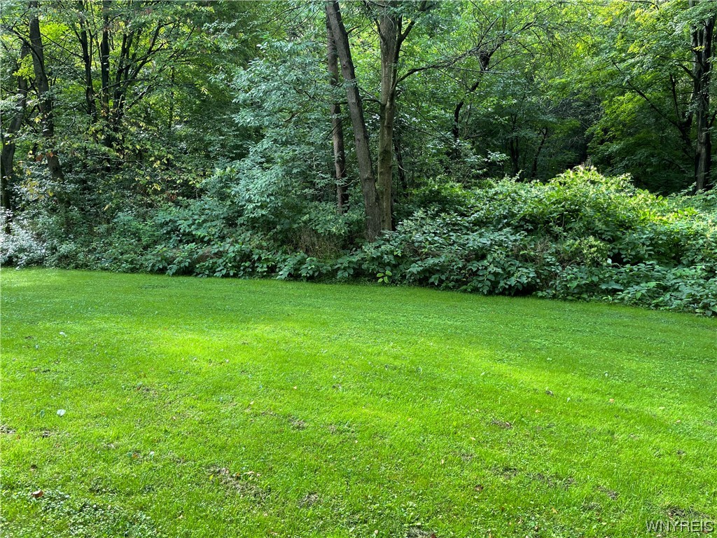 Whig St, Salamanca, NY 14779 #1
