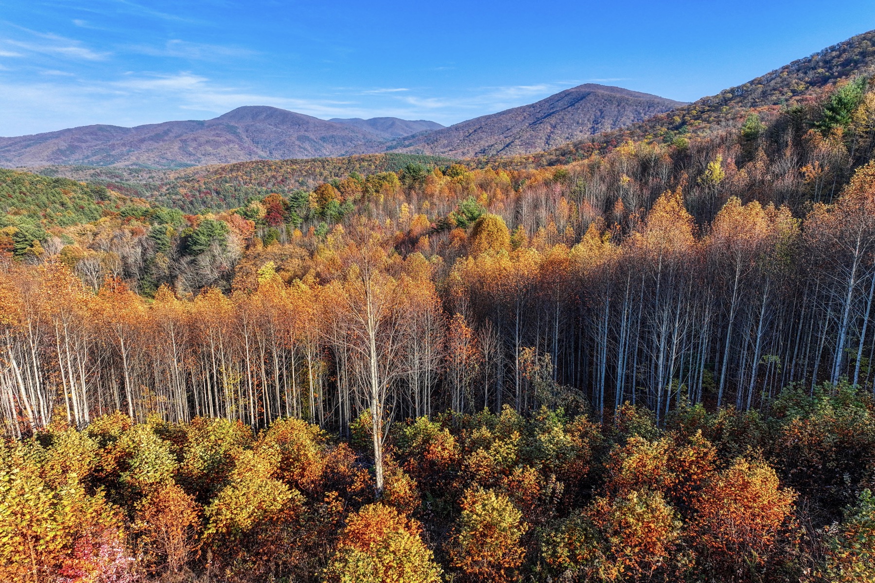 Bull's Peak Estates: Premier Mountain View Tracts in East Tennessee