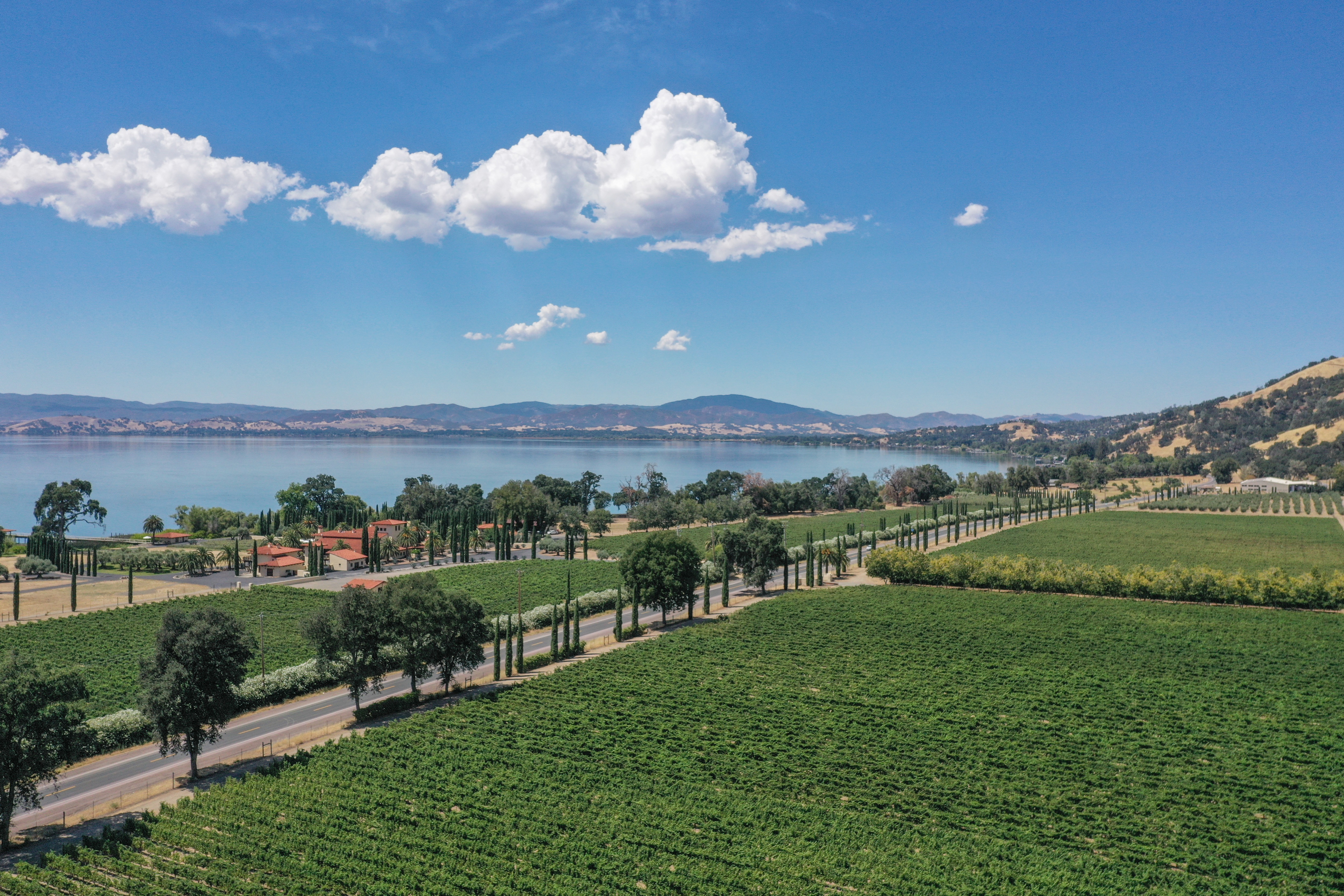 Ceago Vineyard Estate Parcel