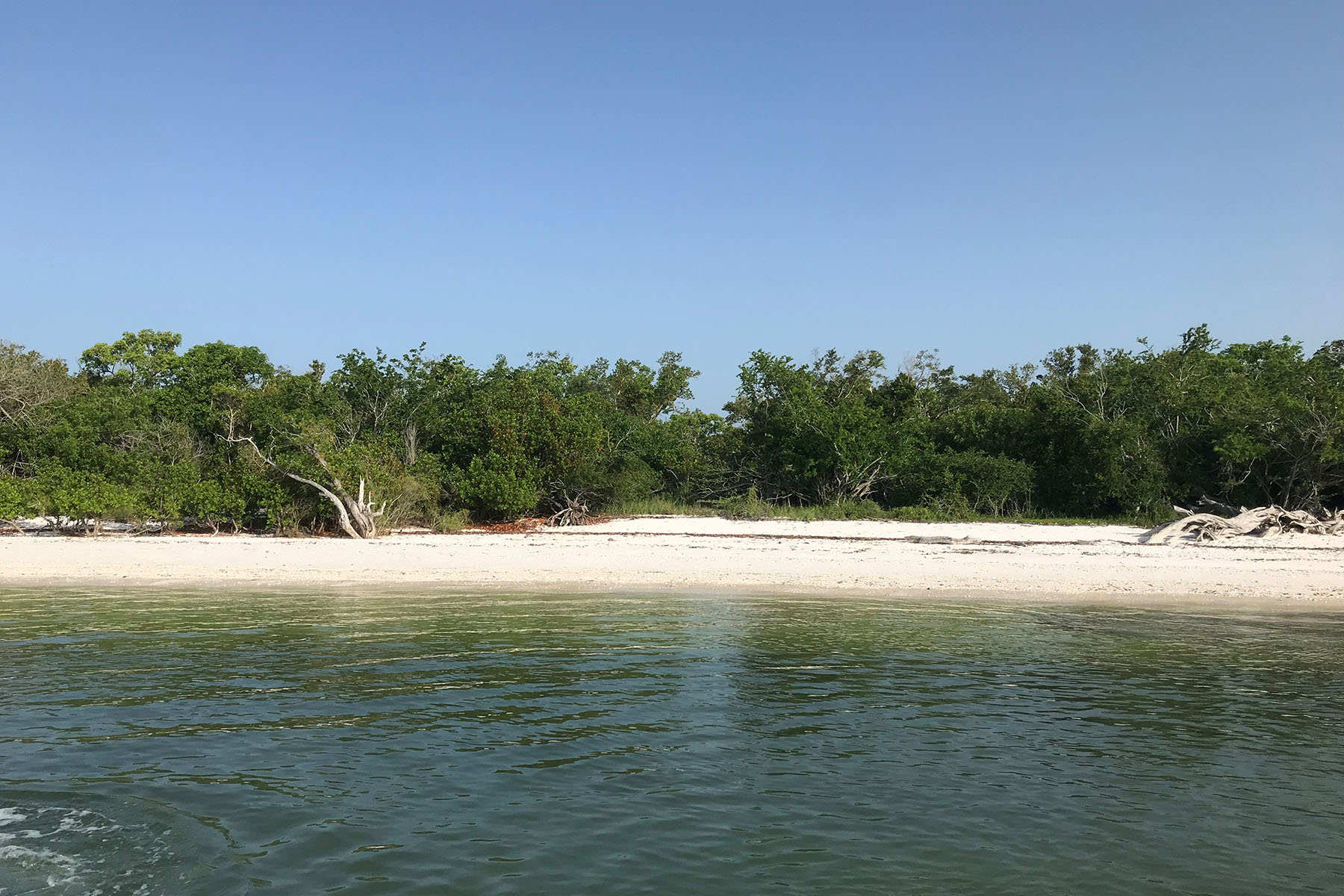 MARCO ISLAND / CAPE ROMANO