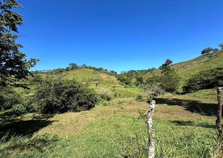 Farm to Develop in Pacuarito