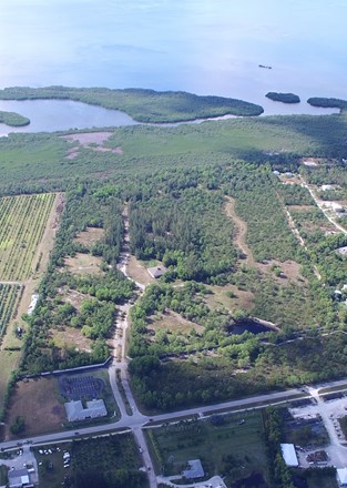 Aerial of Pine Island