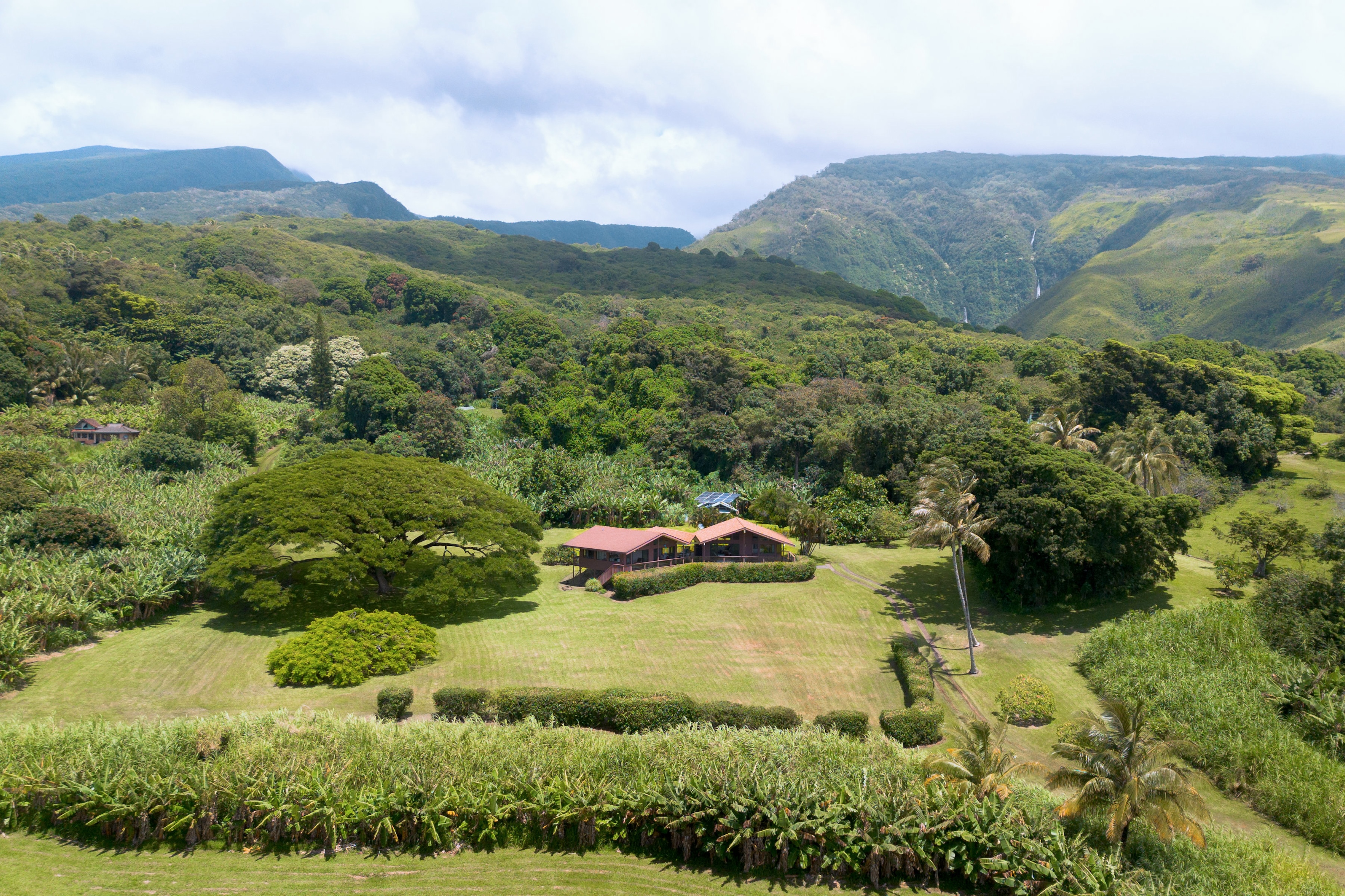 Tranquil 8-Acre Kipahulu Estate