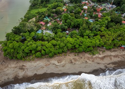 Successful Beachfront Business in Playa Dominical