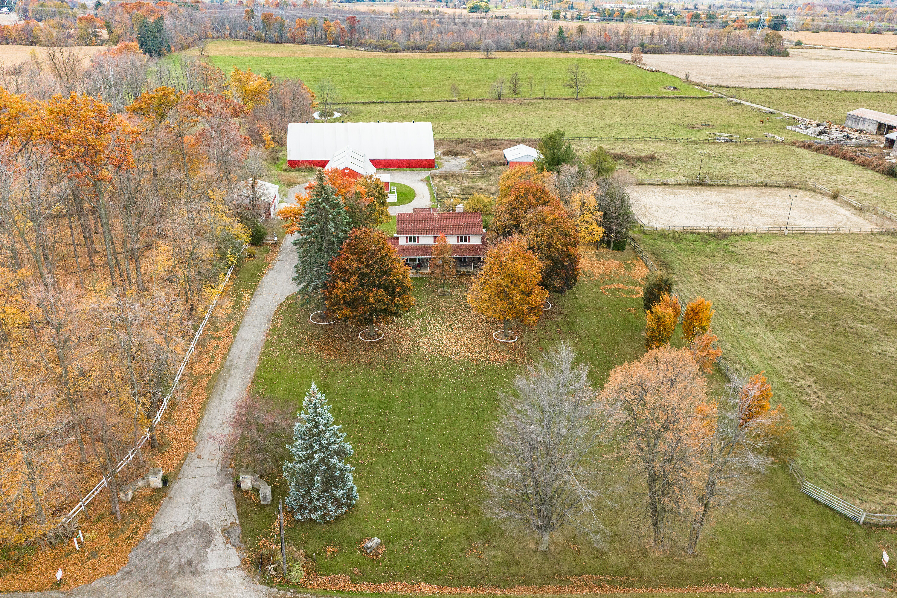 Rural Estate Hobby Farm