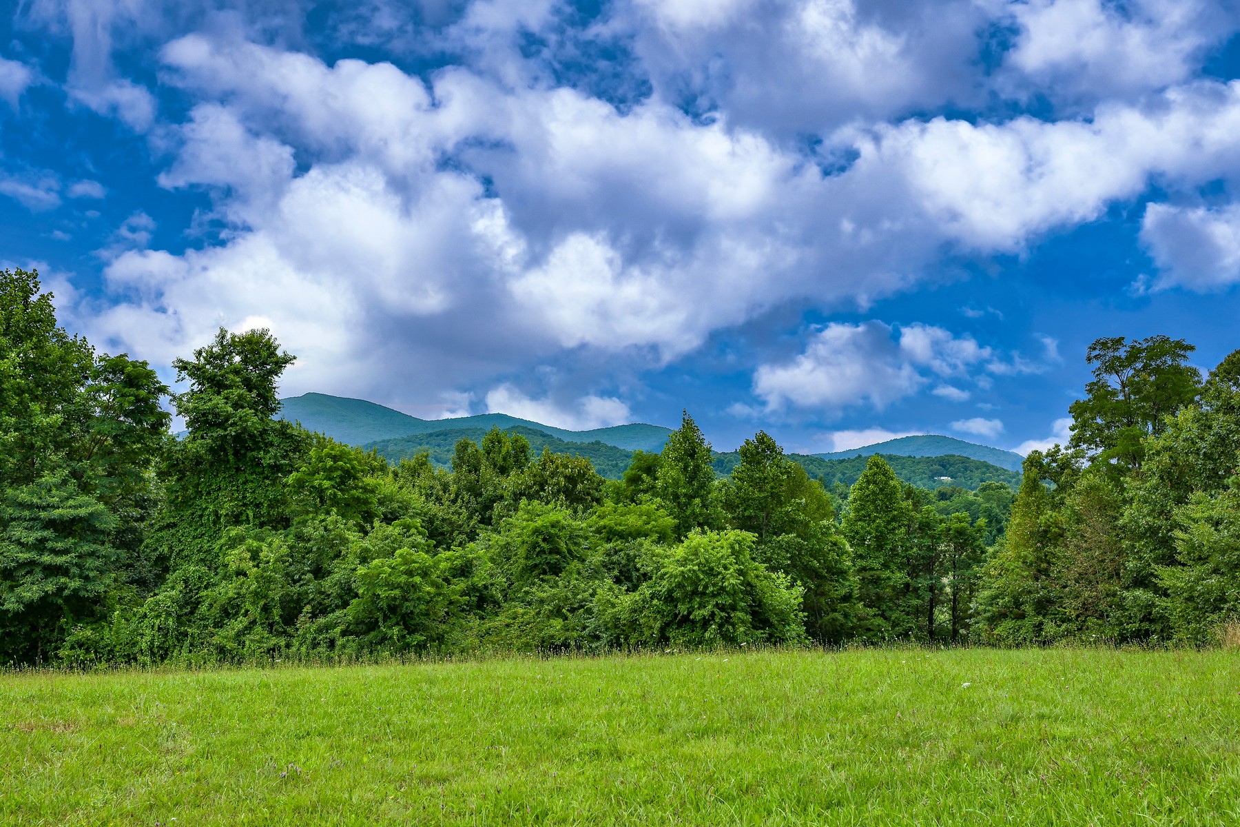 TBD Hale Ridge Road, Scaly Mountain, NC 28775