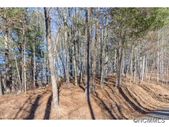 Brookwood Rd, Asheville, NC 28804 #1