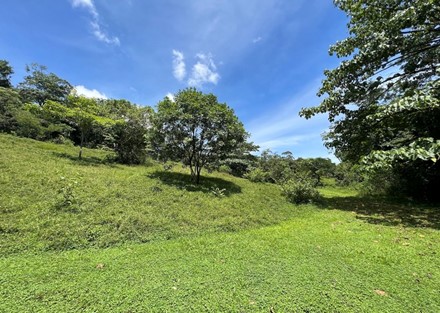 A 30.9 Acre Serene Paradise Beckons: Your Dream Property Awaits in Costa Rica