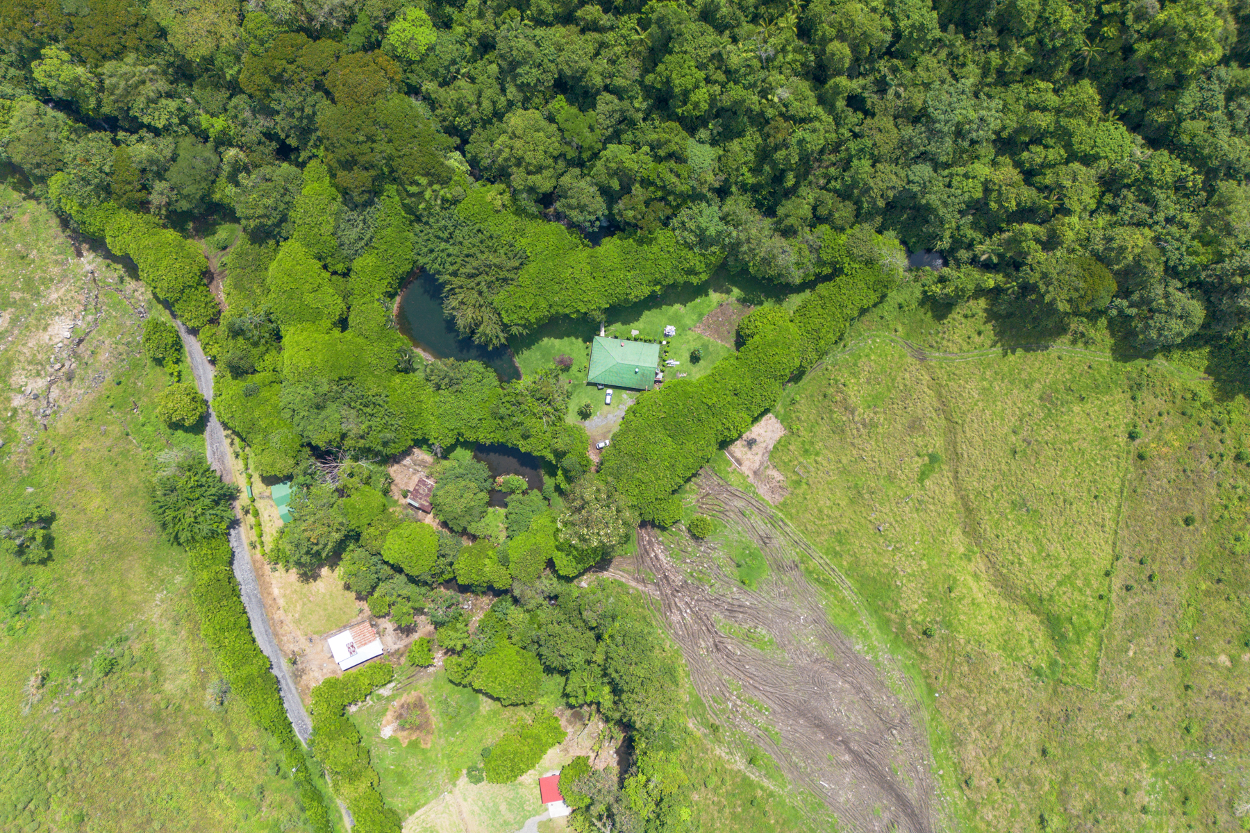 Hidden Nature Paradise in Suerre Guapiles